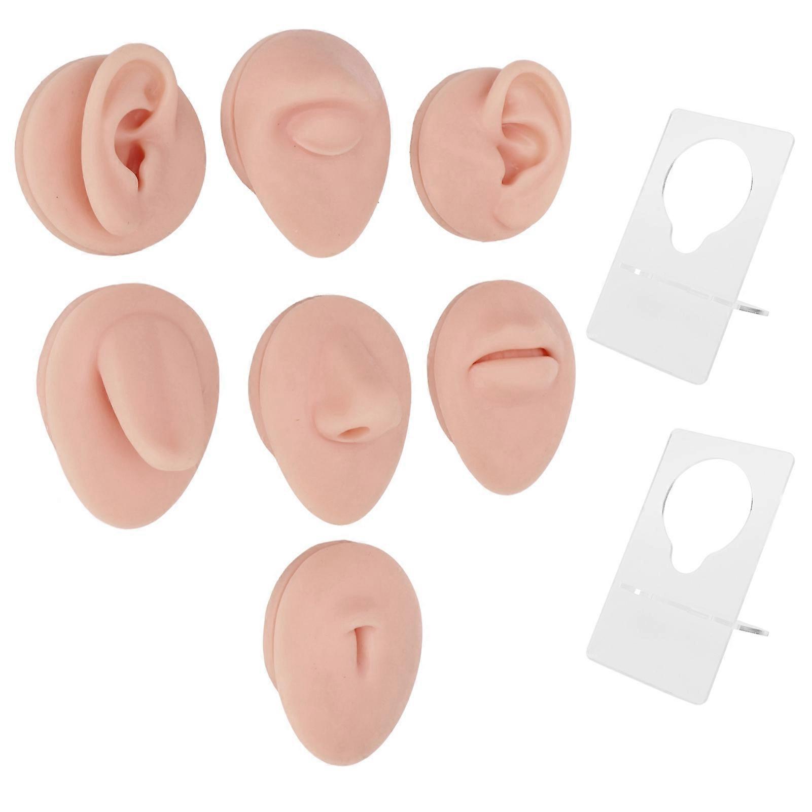 Soft Silicone Body Part Model, Ear, Mouth, Nose, Eye, Tongue and Navel Model with Display Stand for Teaching, Display and Practice
