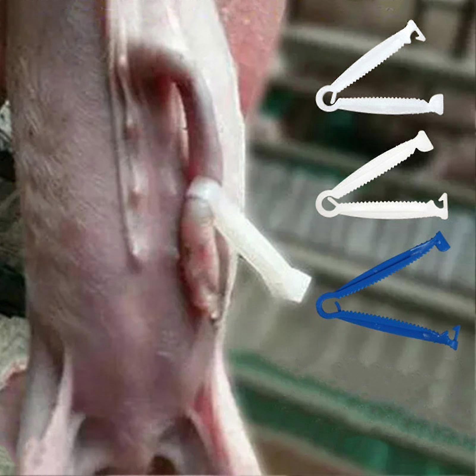 20pcs Disposable Umbilical Clamp Small Size Multifunctional Umbilical Cord Clip for Pigs