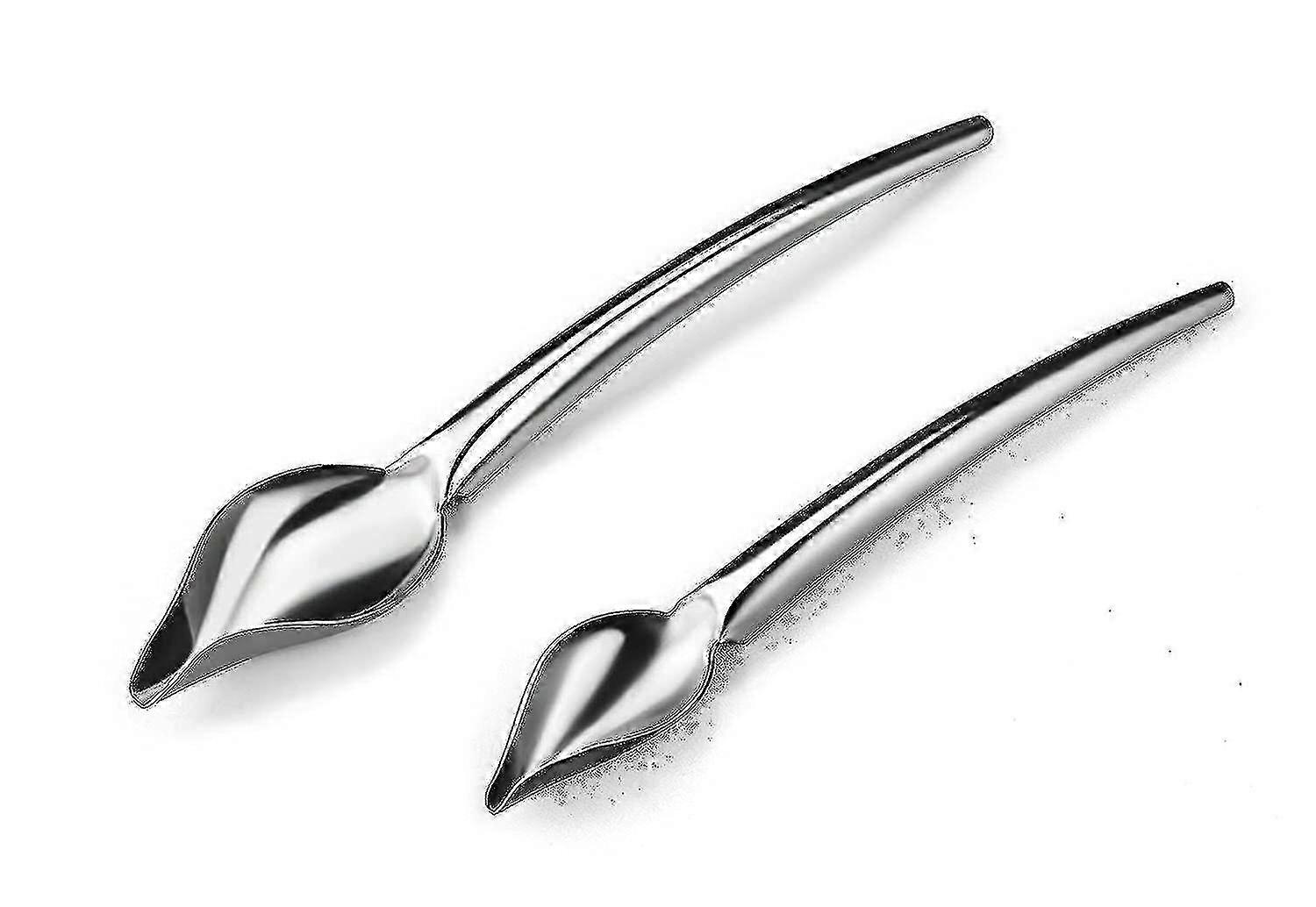Deco Spoon Multi-use Precision Chef Culinary Drawing Spoons For Decorating Plates, Set Of 2 SZRH A-F