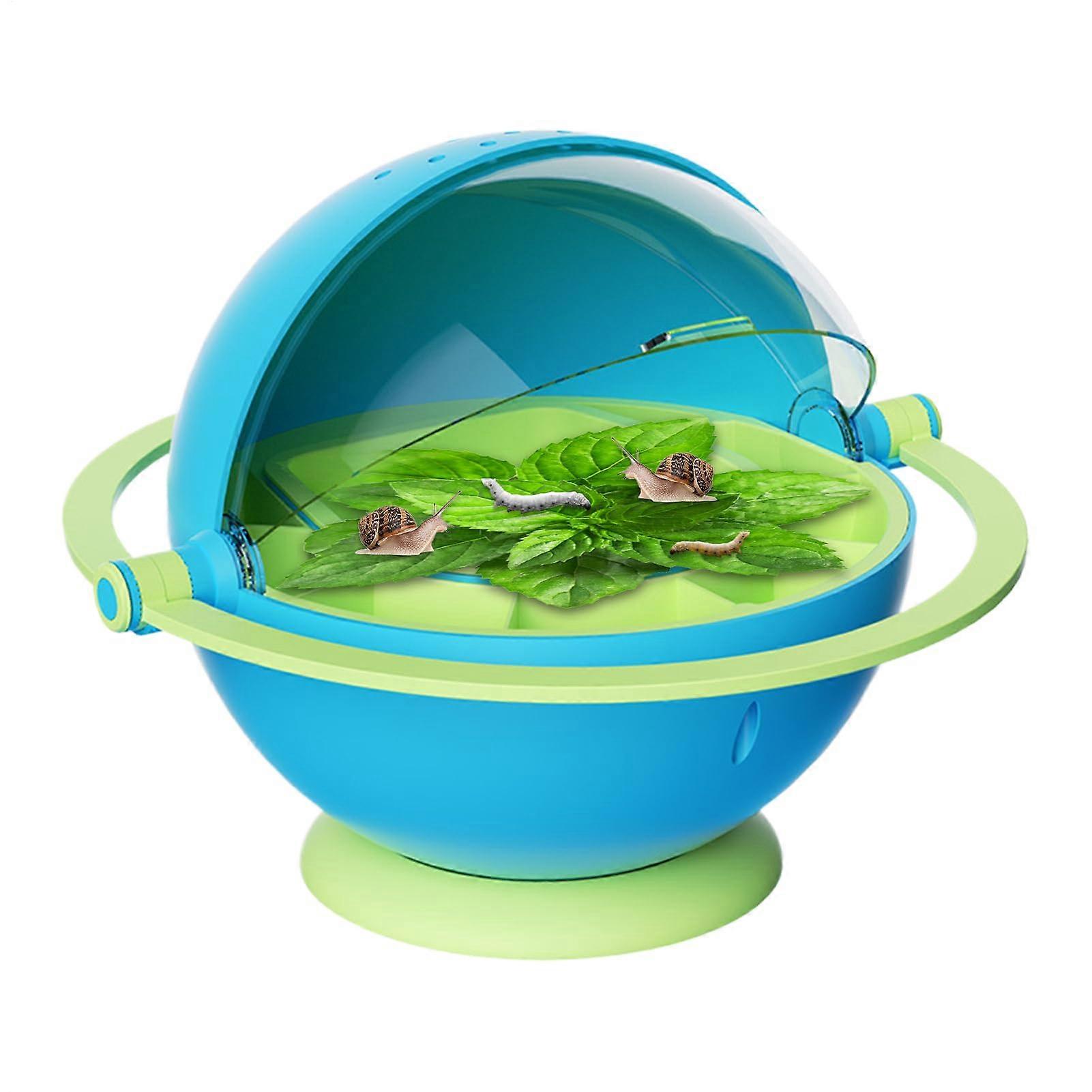 Silkworm Rearing Box - Transparent Observation Container, Educational Insect Habitat for Home Learning, Blue