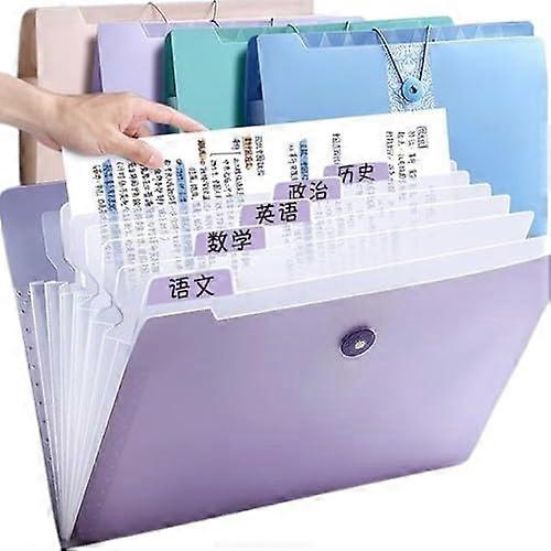 Accordion File Folder, 5-Compartment, With Labels, Letter Size, Violet, 2-Pack, Organizer for Invoices and Receipts