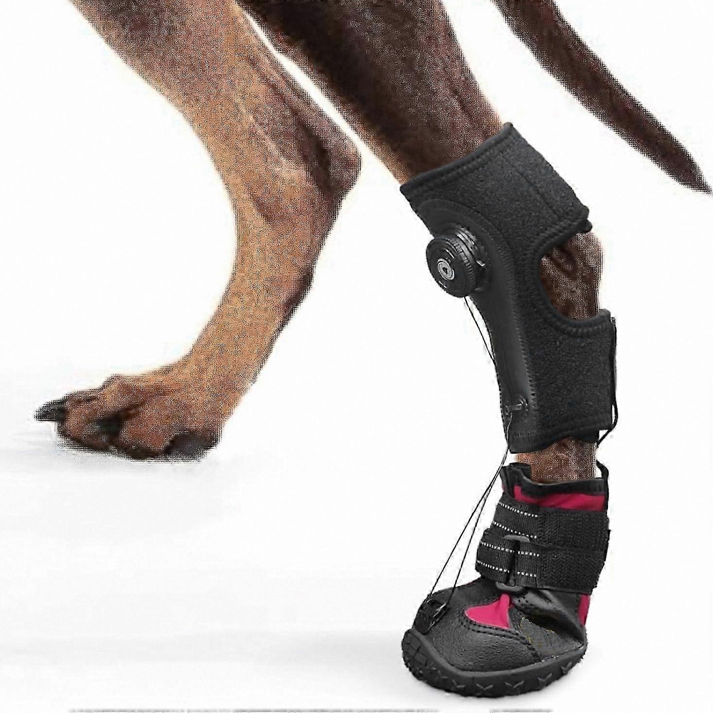 Corrective Outdoor Dog Boot Brace for Safe Toe L Adjustment - All-Terrain Solution for Pets with Dragging Paws and Drop Foot Support