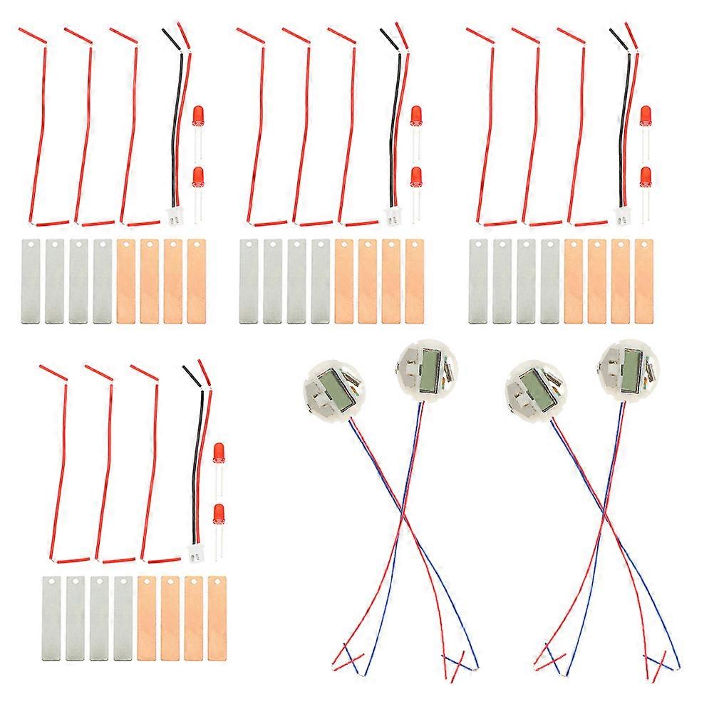 Fruit Battery Science Experiment Kit for DIY 16Sets Stem Teaching Set