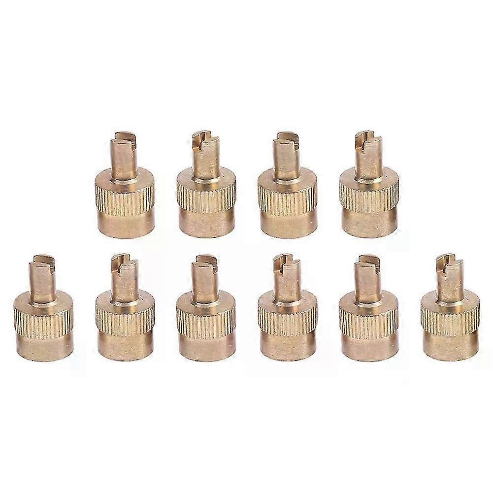 10pcs Practical Copper Slotted Head Portable Metal Valve Stem Caps for Car Motorcycle Schrader Valve Instruments