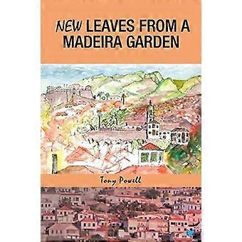 Nuove foglie da un giardino di Madeira