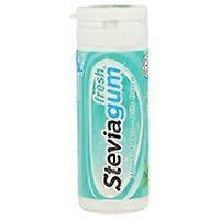 Steviagum Fresh Mint Gum 30 g