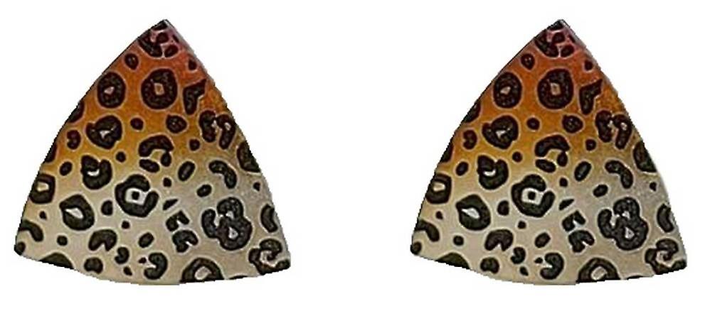 Ti2 Titanium Leopard Print Trillion Stud Earrings - Silver/Brown
