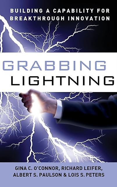 Grabbing Lightning - G. C. O'Connor - Business strategy - John Wiley & Sons Inc - Hardback