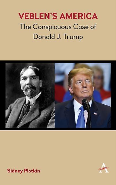 Veblens America by Sidney Plotkin Paperback Book