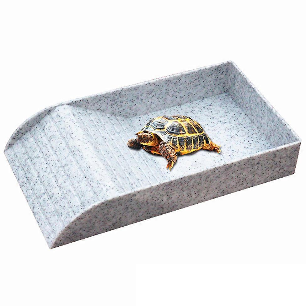 Reptile Turtle Feeding Dish with Ramp for Lizards Amphibians Housing
