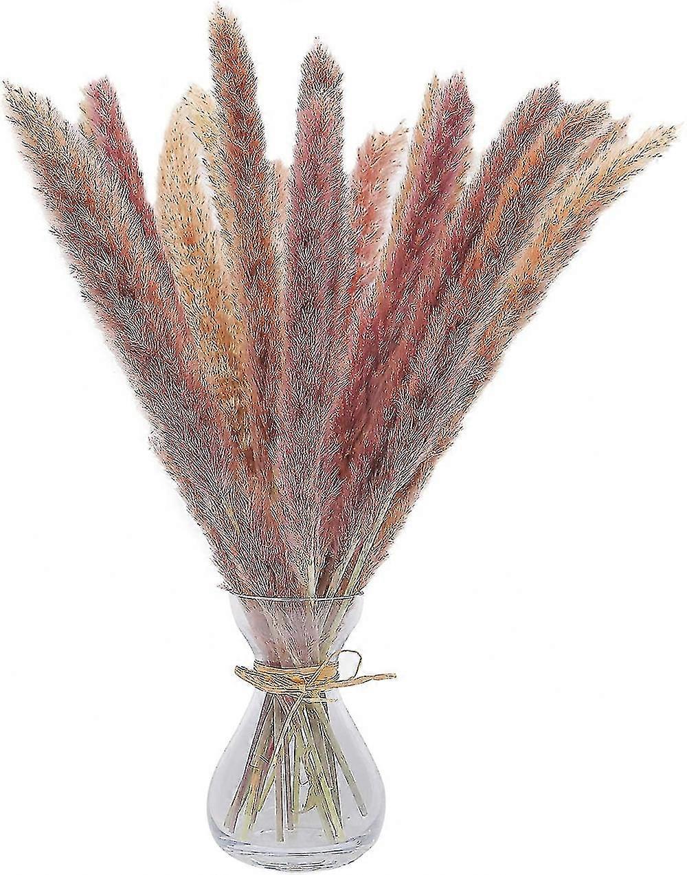 30個45 cmすべての自然乾燥パンパス草花瓶装飾 - 乾燥花