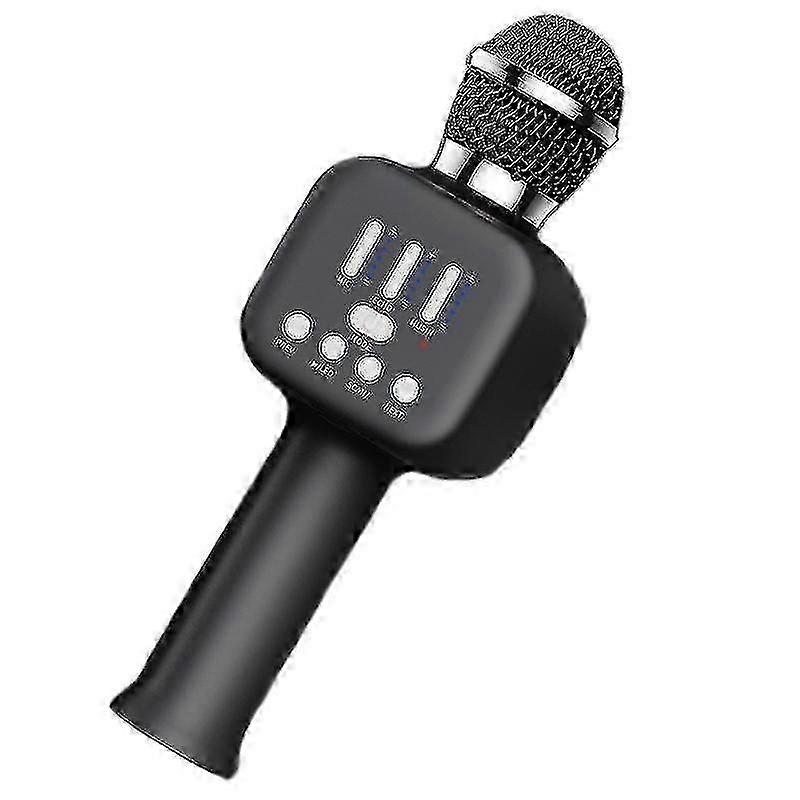 Q12 Heimmikrofon Audio-Gesangsgeräte