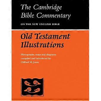 Old Testament Illustrations - Clifford M. Jones - Paperback - en Book