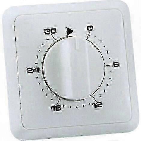 Daily Programmable Timer with 30-Minute Intervals for Flush Mounting