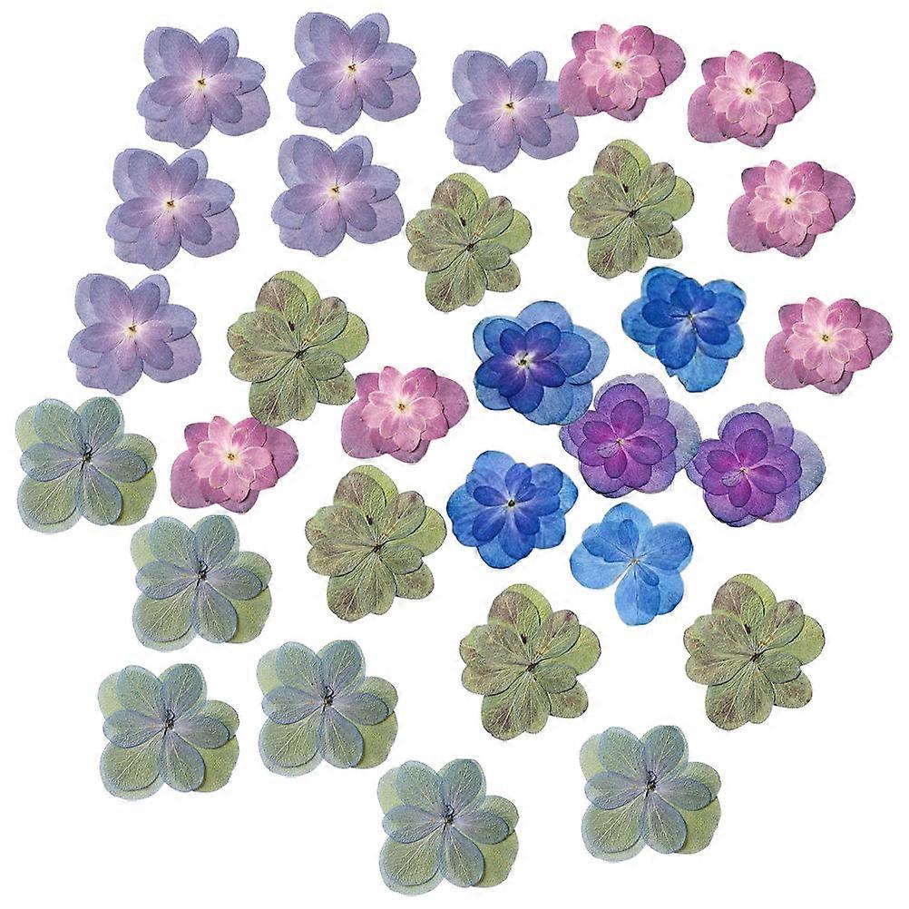 Hydrangea Dried Flowers Small Pressed Flowers for Decoration 30Pcs