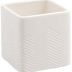 Skål Fishbone Cult Design