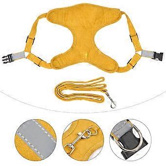 Orange Pet Harness Leash Set for Traction Rope Adjustable 4Pcs