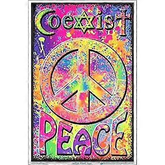 Jigsaw Puzzles Coexist Peace Jigsaw Puzzles FL056