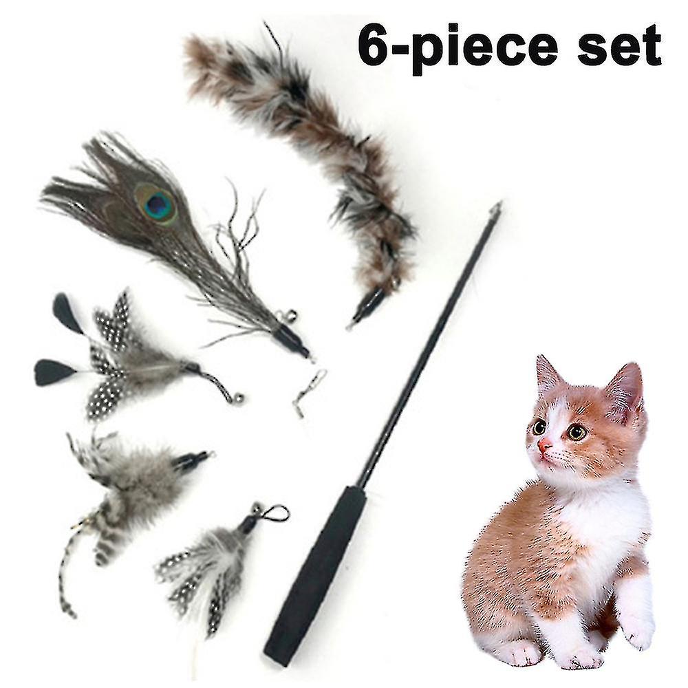 Pet Fit For Life Worms Teaser And Exerciser For Cat And Kitten