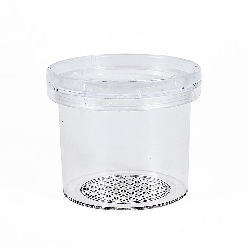 Bug Spectateur Créature Cage- Insectes Loupe Boîte, Insectes Bug Loupe Container Catcher Insectes Observation Pot Science Exploration de La Nature