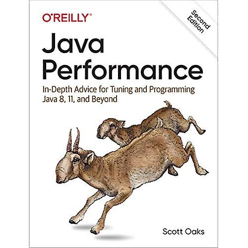 Java Performance: Diepgaand advies voor tuning en programmering Java 8, 11 en verder