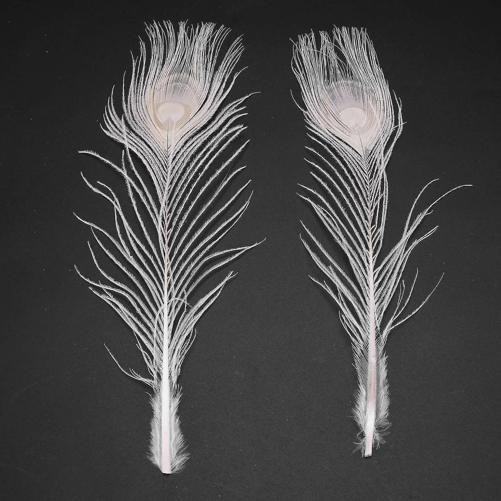 50 Pcs/natural White Peacock Feathers In The …