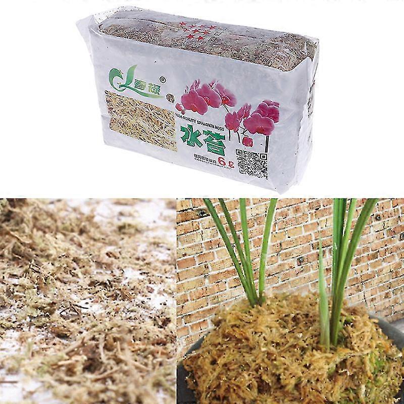 6l Sphagnum Moos Feuchtigkeitsspendender organischer Dünger für Orchidee Phalaenopsis bunt one size