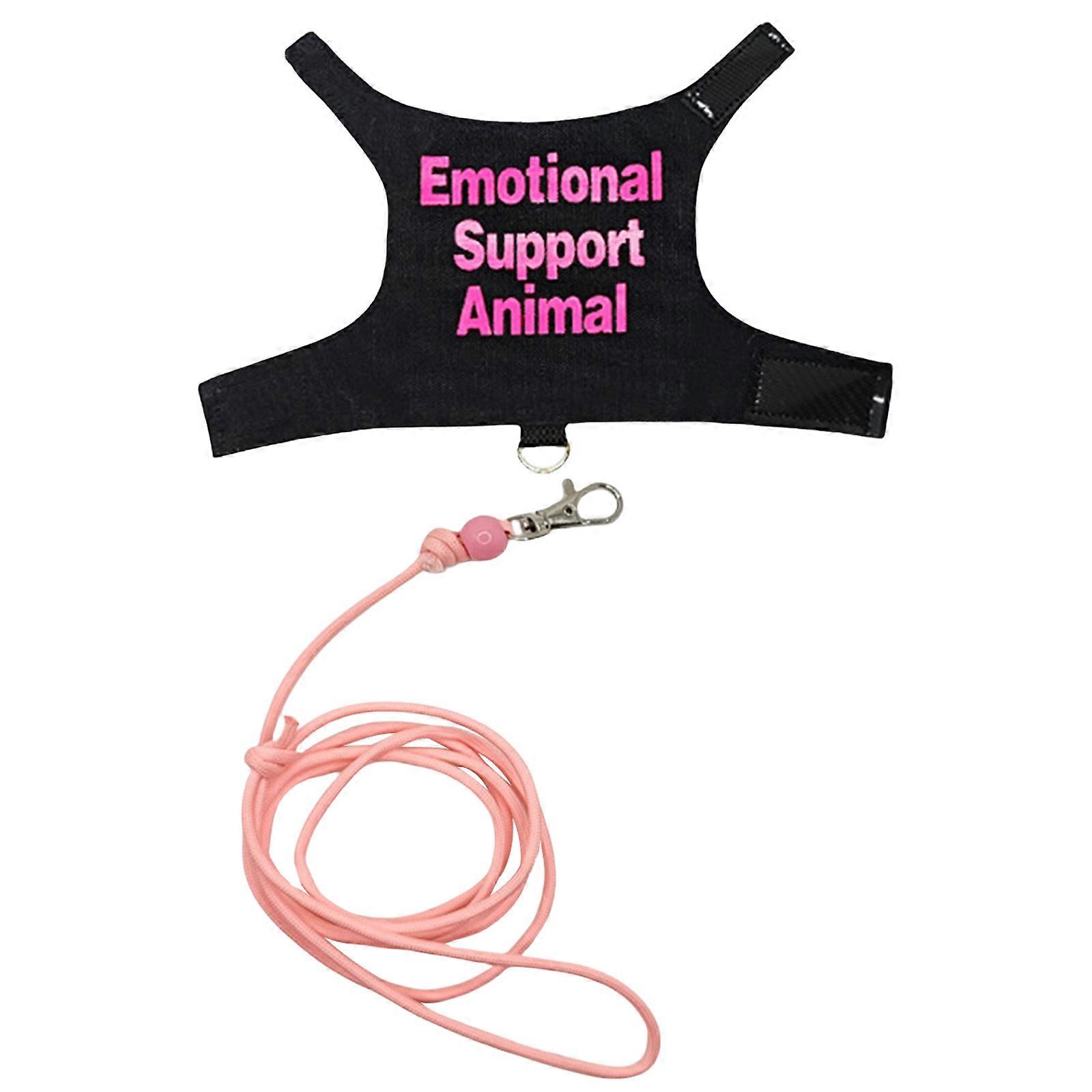 Small Animal Harnesses Set Comfortable Pet Reptiles Bearded Dragon Harnesses for Outdoor Walks pink