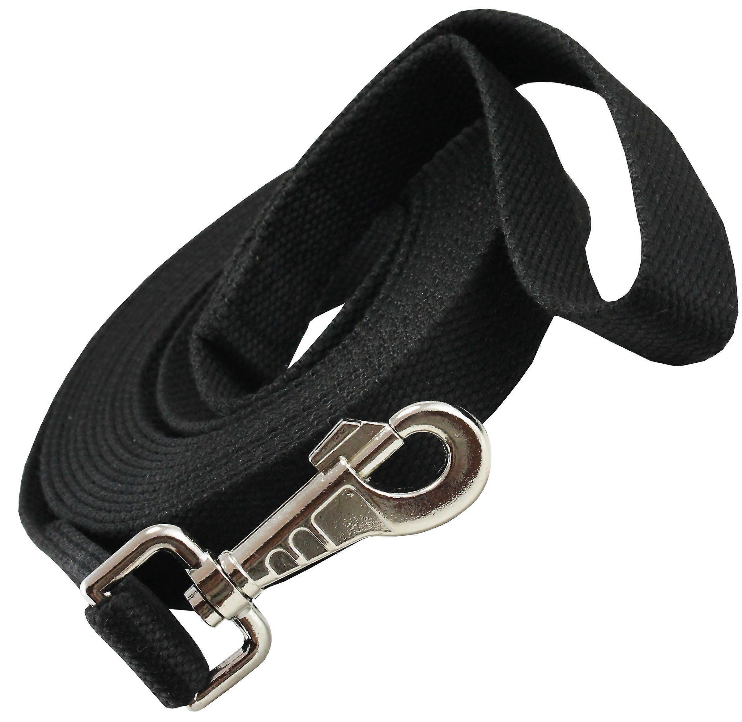 Dog Leash 1 Inch Wide Cotton Web 15 Feet Long with Swivel Locking Snap for Pit Bull and Cane Corso Training