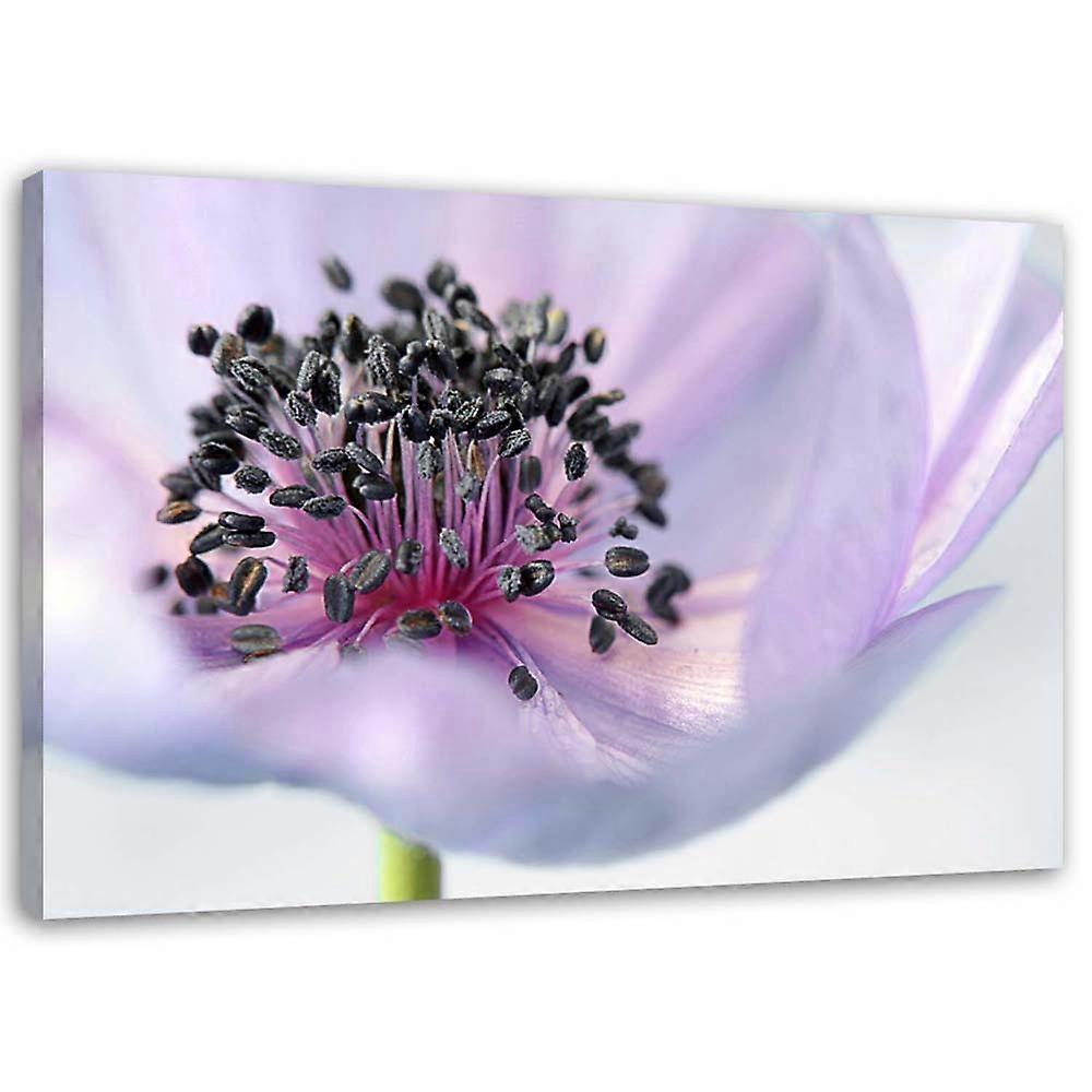 Quadro su tela, Anemone viola - 100x70