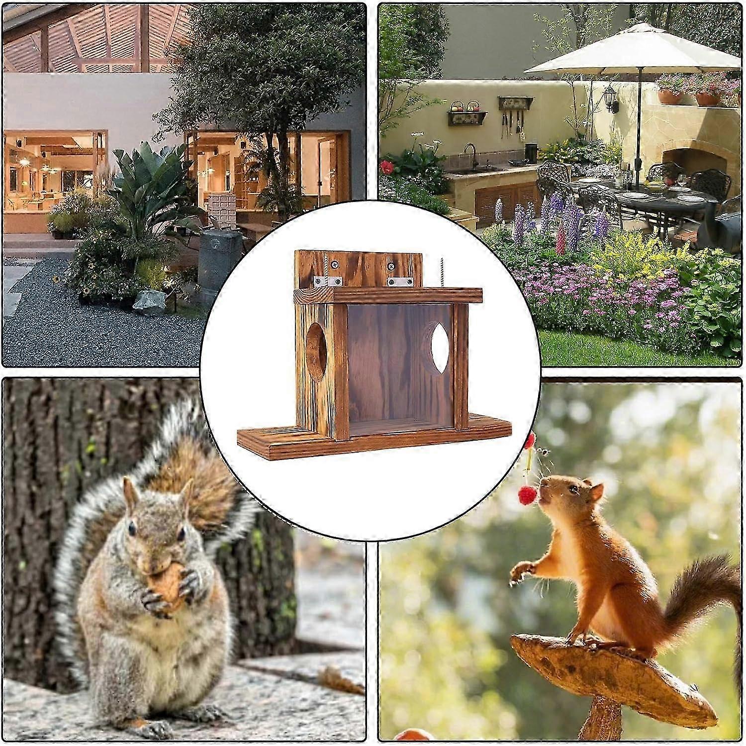 Outdoor Feeder  Hanging Feeder  Station