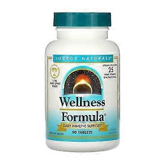Wellness Formula 90 Tablets - 3 Pack