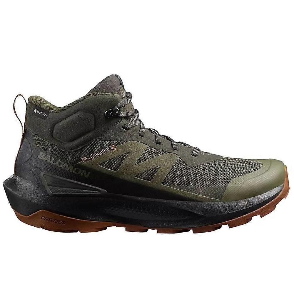 Shoes Salomon Elixir Activ 475603