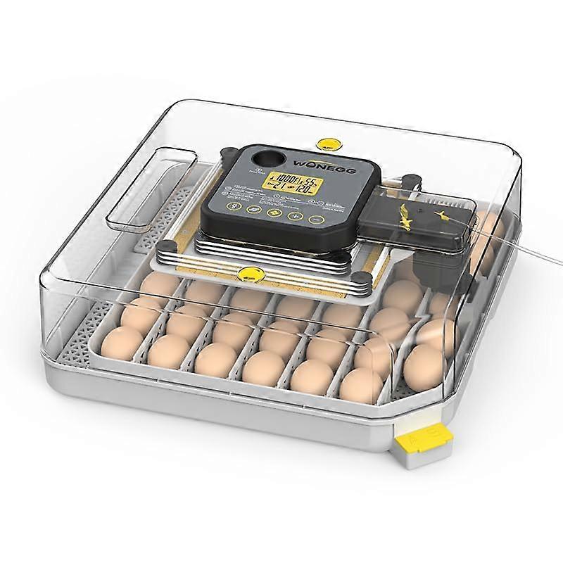 Egg Incubator 48Egg Capacity With Auto Turner And LED Candler, Digital Temp  Humidity Control, Water Pump, Hatch Timer