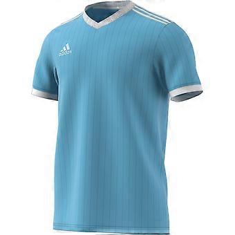 Adidas Tabela 18 CE8943 training all year men