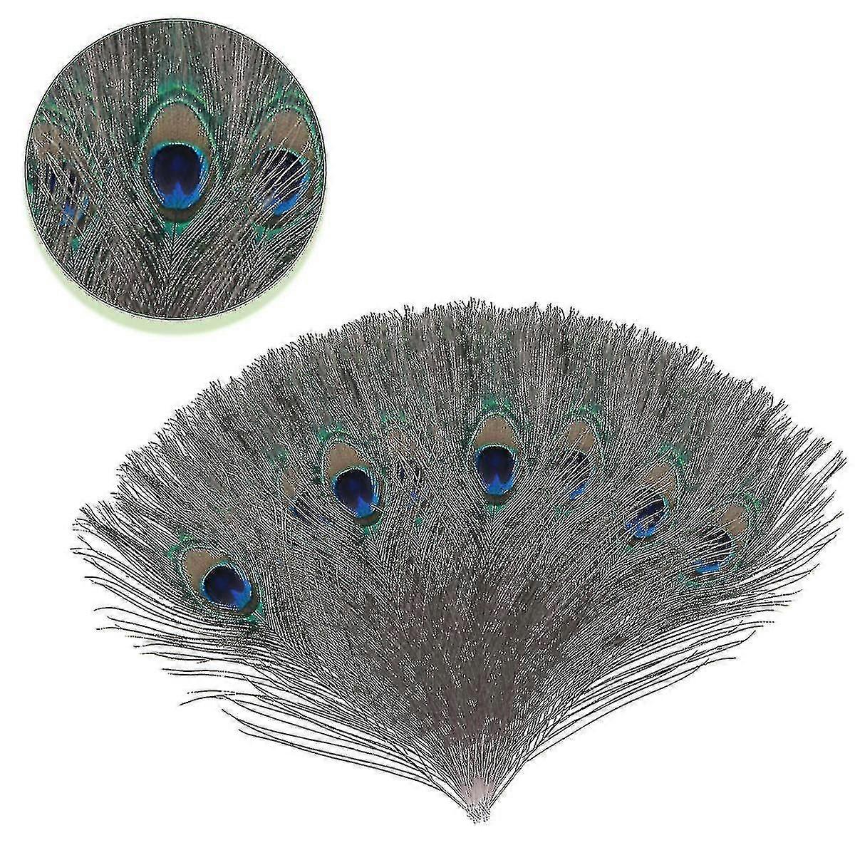 Natural Large Peacock Feathers For Decoration