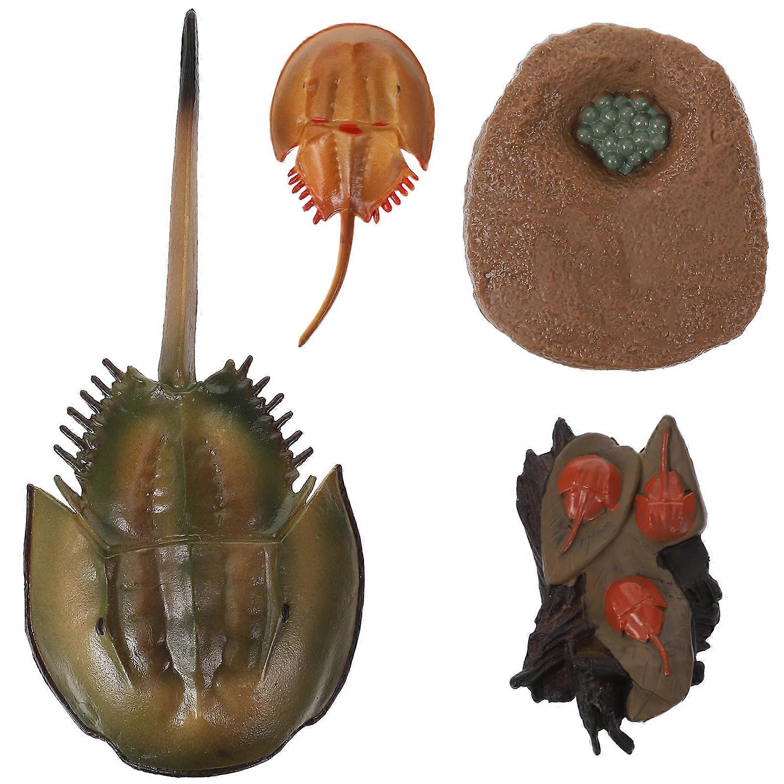 Horseshoe Crab Figure Model for Kids Playing 1Set Growth Cycle Educational Toy