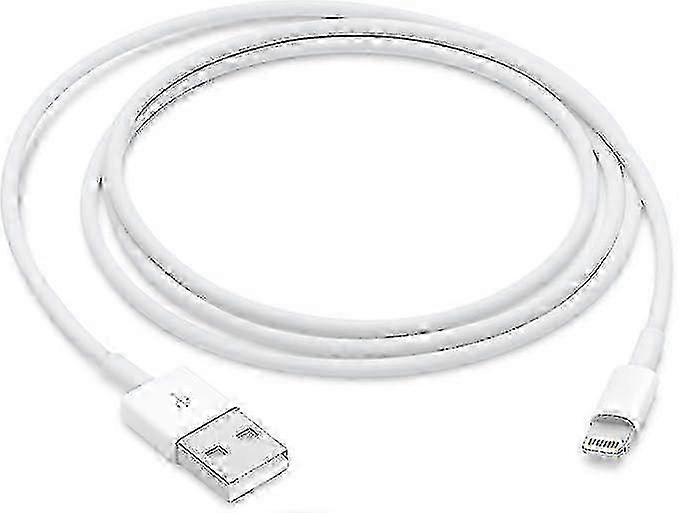Apple Lightning To Usb Cable (1m)
