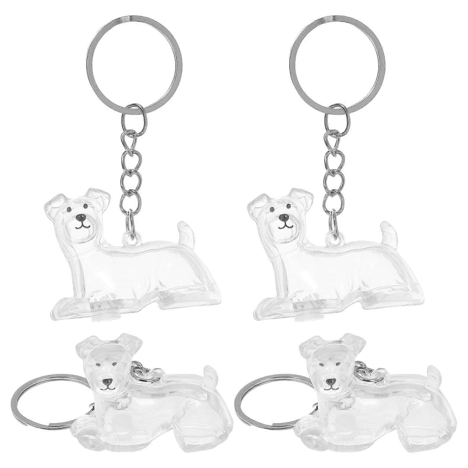 Pet Hair Keepsake Transparent Storage for 4Pcs Keychains Charm