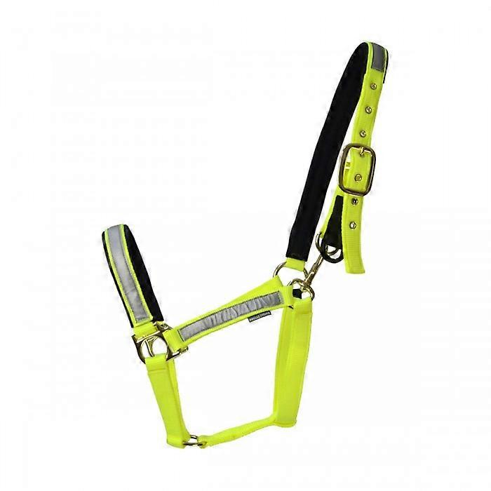 HyVIZ Fieldsafe Horse Headcollar