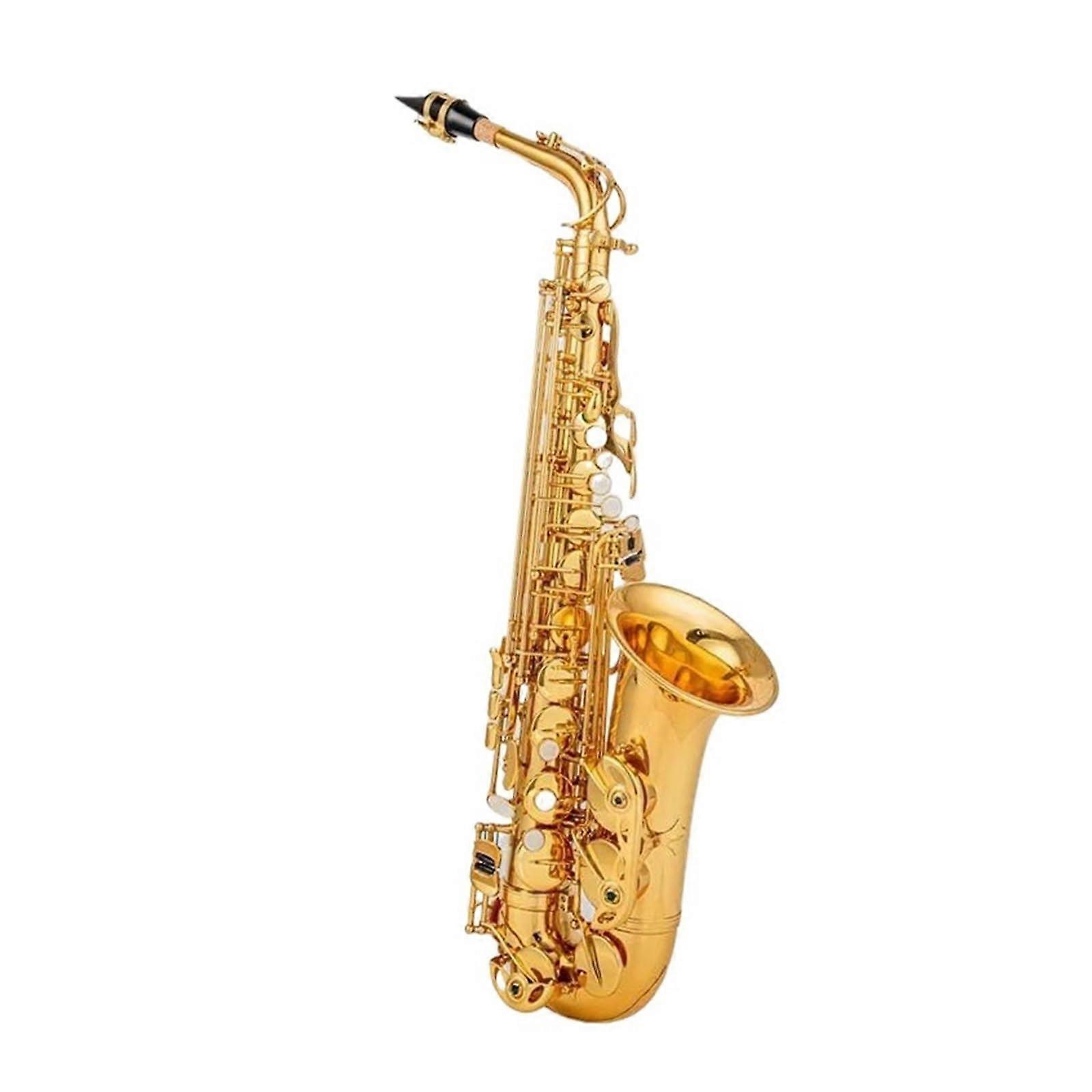 Alto Saxophone for Beginners Drop E Gold with Accessory Set and Consistent Color Matching