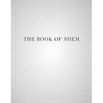 The Book of Shem On Genesis before Abraham