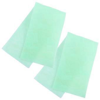Biochemical Filter Sponge Aquarium Prefilter Media for Home Use 2Pcs Green