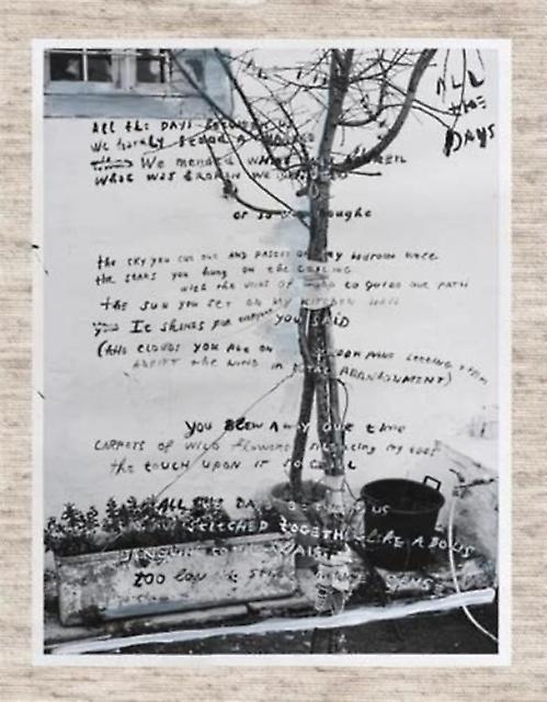 June by Jasper Krabbe Hardback Book