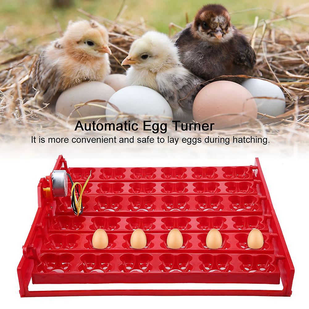 36 Eggs Automatic Incubator Turner Tray 43x41.7x5.2cm Red 110V