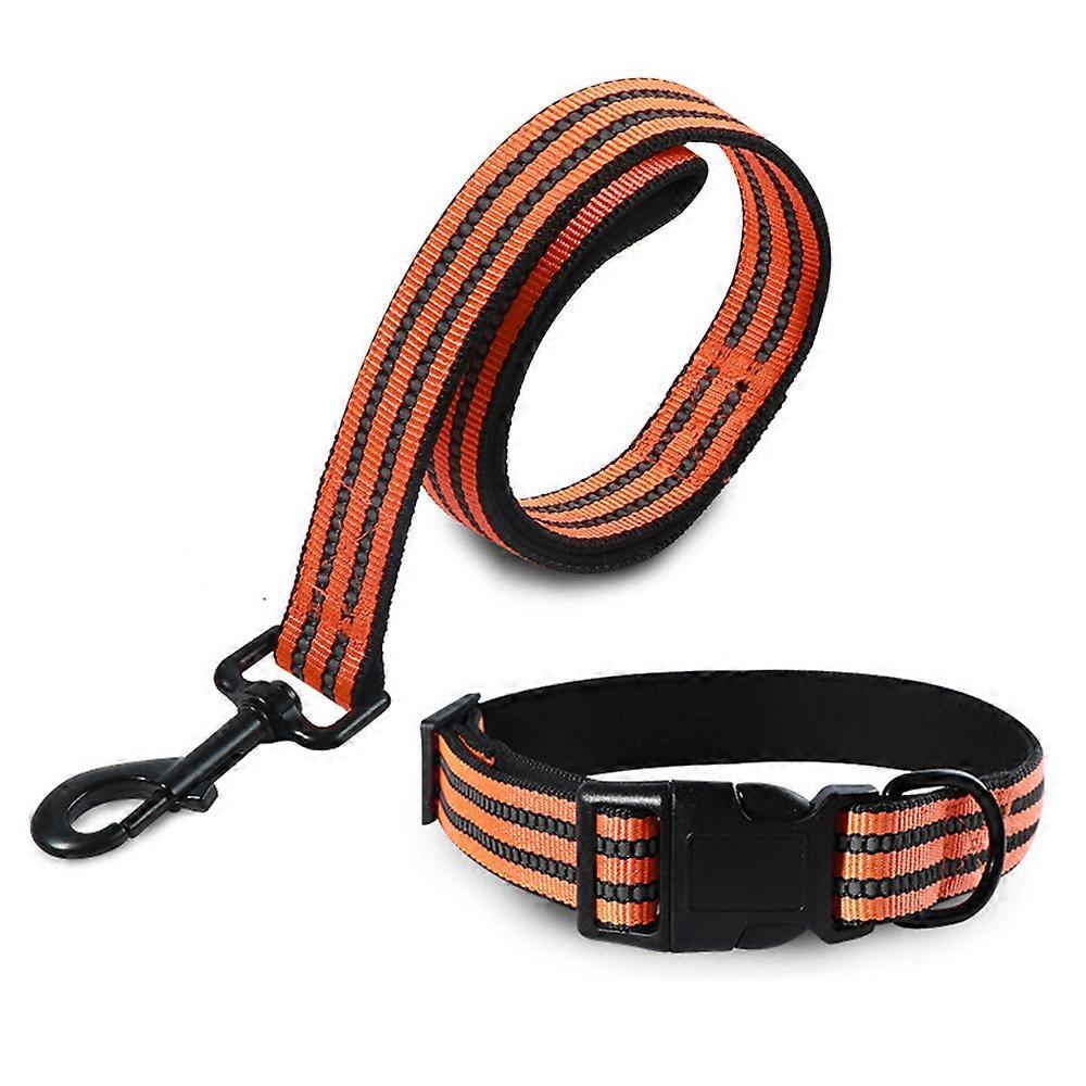 Dog Collars and Leads