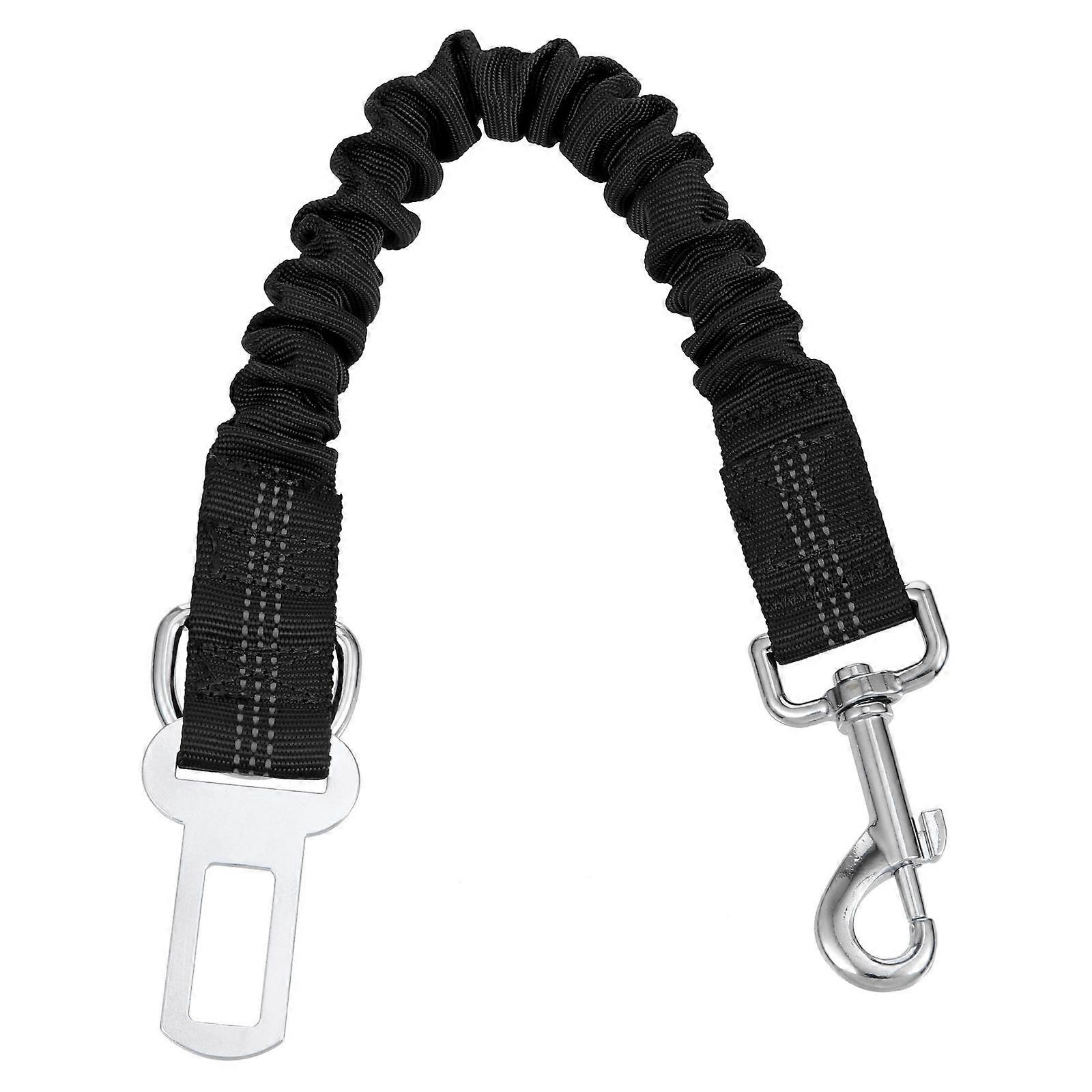 Pet Leash Elastic Rope for Training Puppies