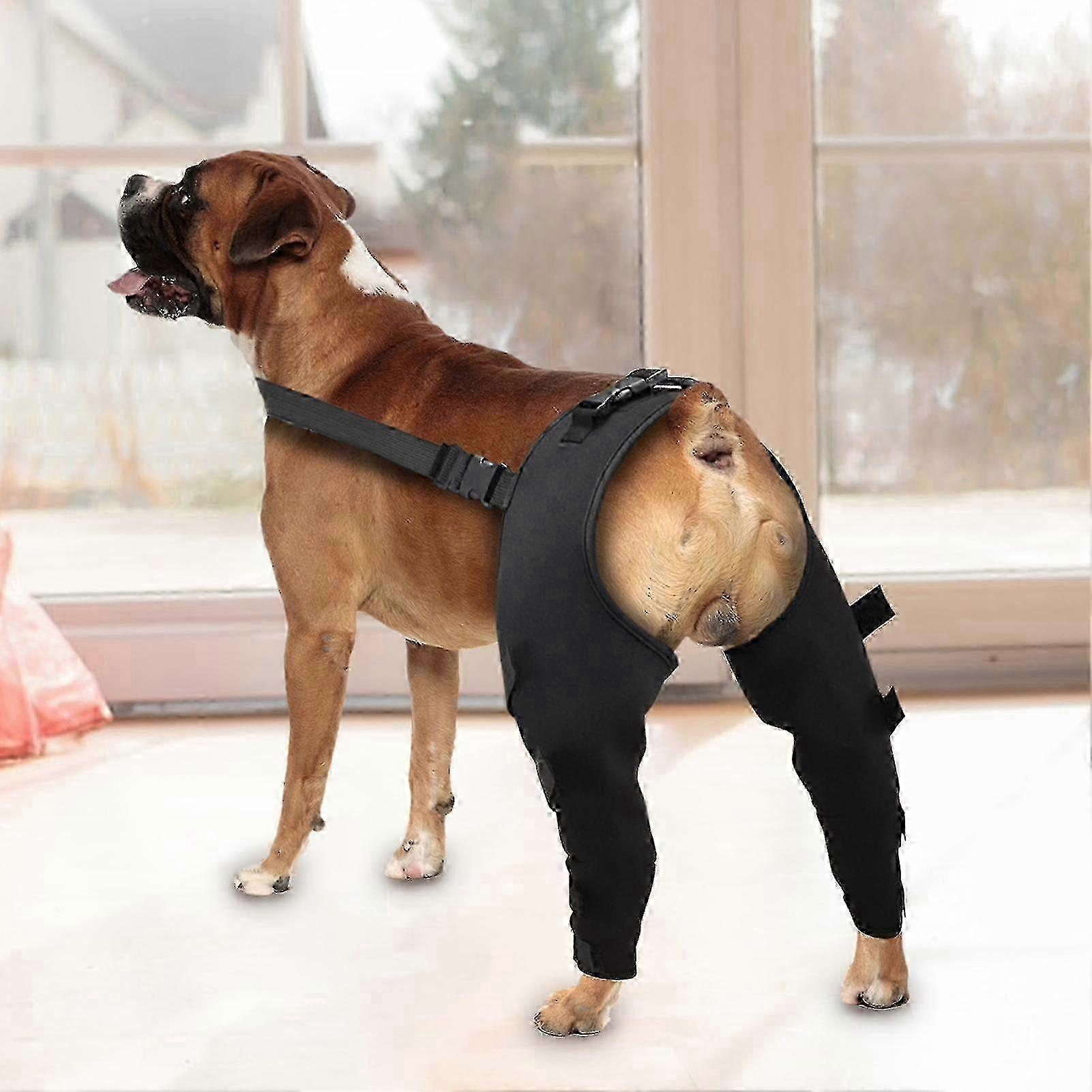 Adjustable Canine Hip Brace with Leg Support and Protective Joint Wrap for Recovery