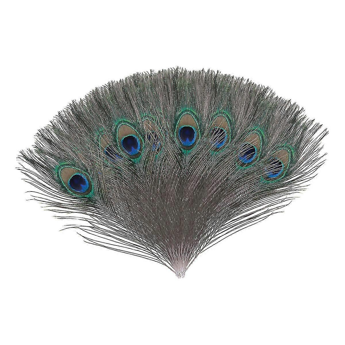 Natural Large Peacock Feathers For Decoration