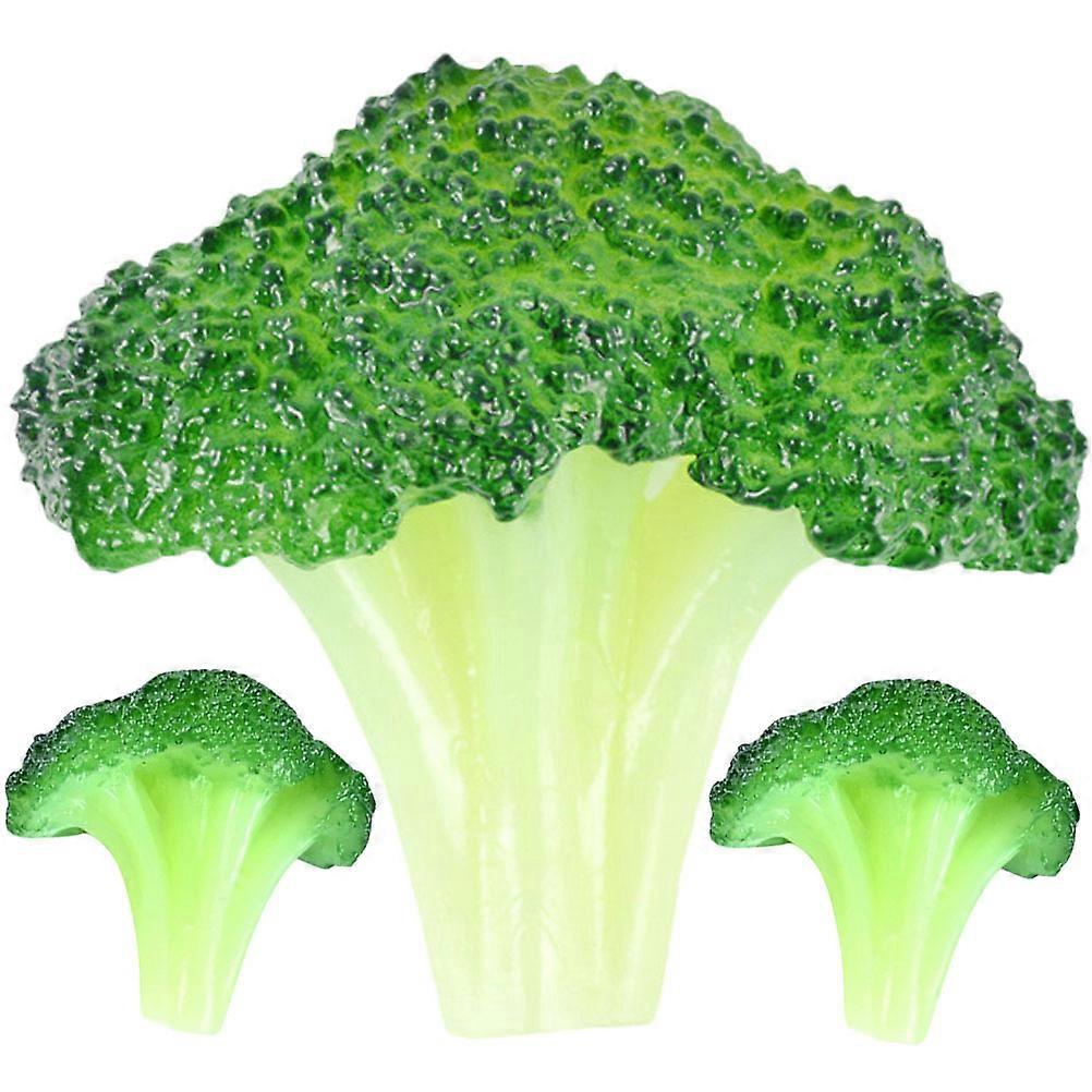 3Pcs Artificial Broccoli Decorations Realistic Vegetable Display Props